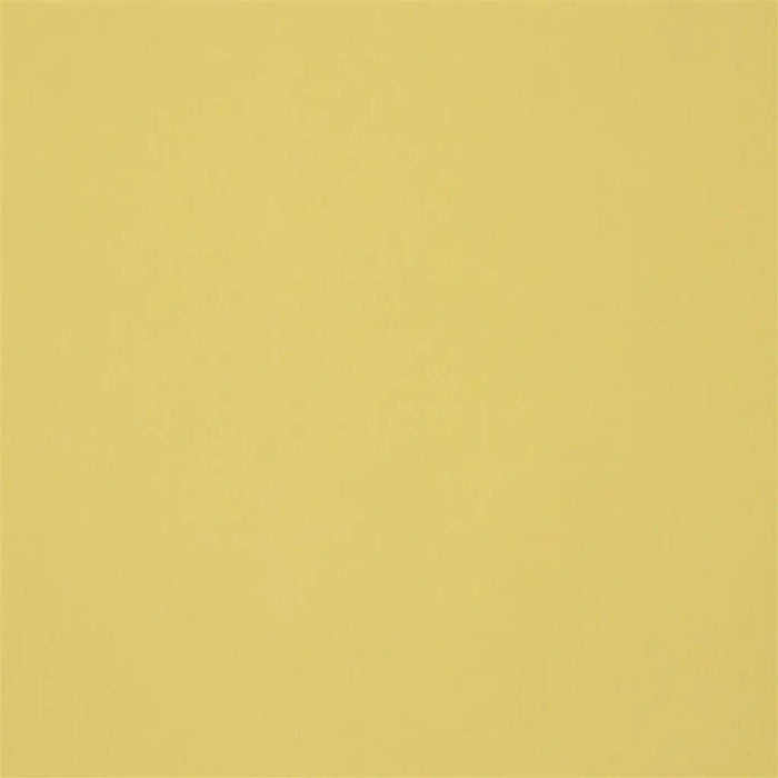 Designers Guild Aviano 43 Fabric F1911-43