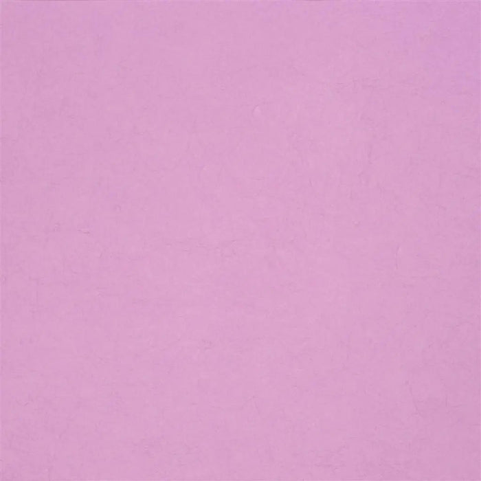 Designers Guild Ernani 40 Wallpaper P502-40