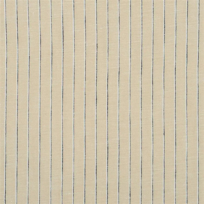 Designers Guild Ravoire 8 Fabric FDG2940-08