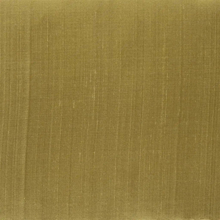 Designers Guild Amboise 22 Fabric F1166-22