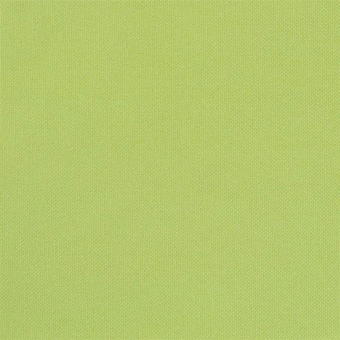 Designers Guild Paladru 1 Fabric F1089-01