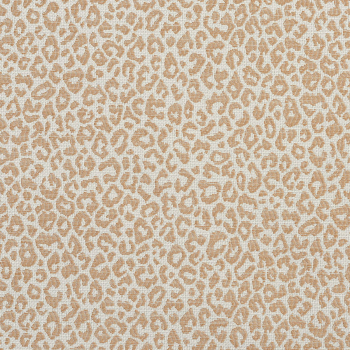 Charlotte Sand Fabric Sample 1592