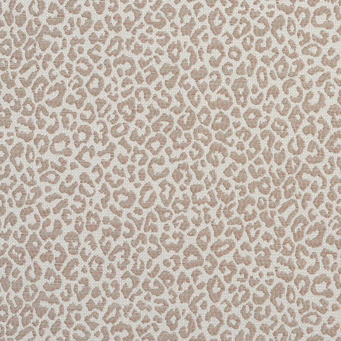 Charlotte Taupe Fabric Sample 1596