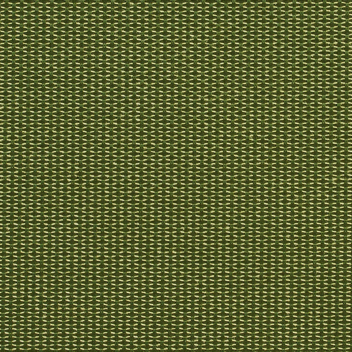 Charlotte Cactus Fabric 1719