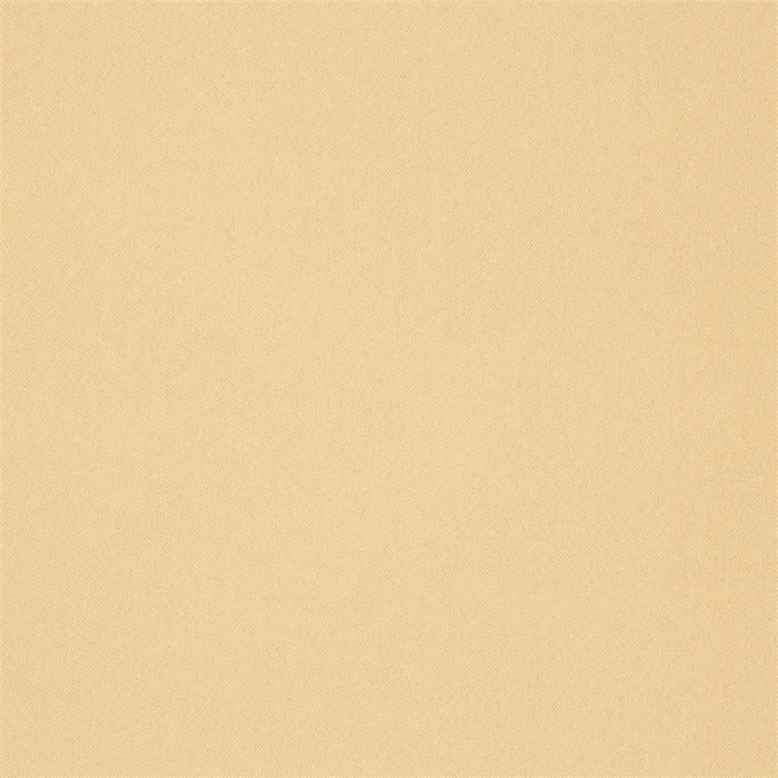 Designers Guild Zudio Alta 5 Fabric FT2130-05