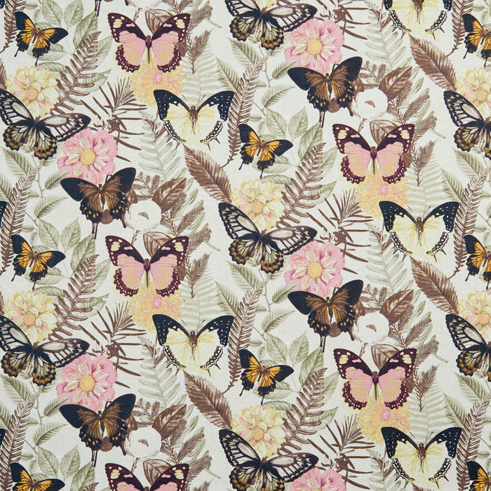 Charlotte Fabric 20470-01