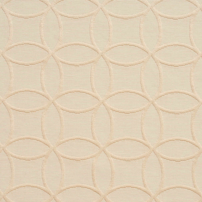 Charlotte Fabric 20610-05