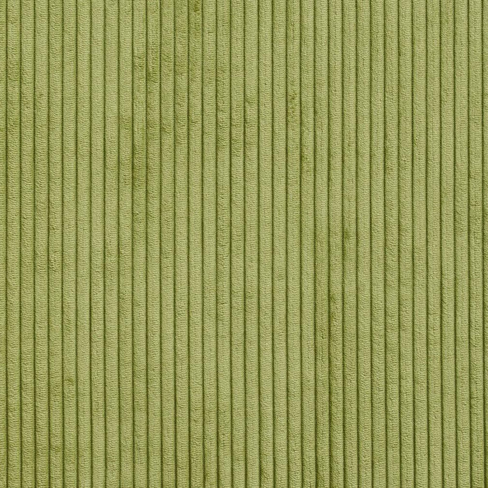 Charlotte Fabric Sample 20700-01