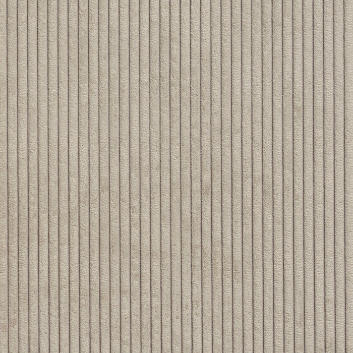 Charlotte Fabric Sample 20700-05
