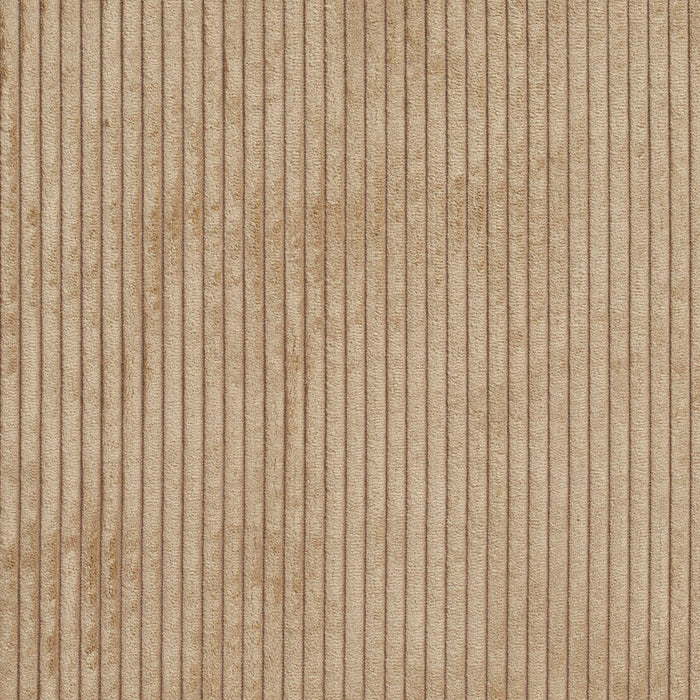 Charlotte Fabric 20700-10
