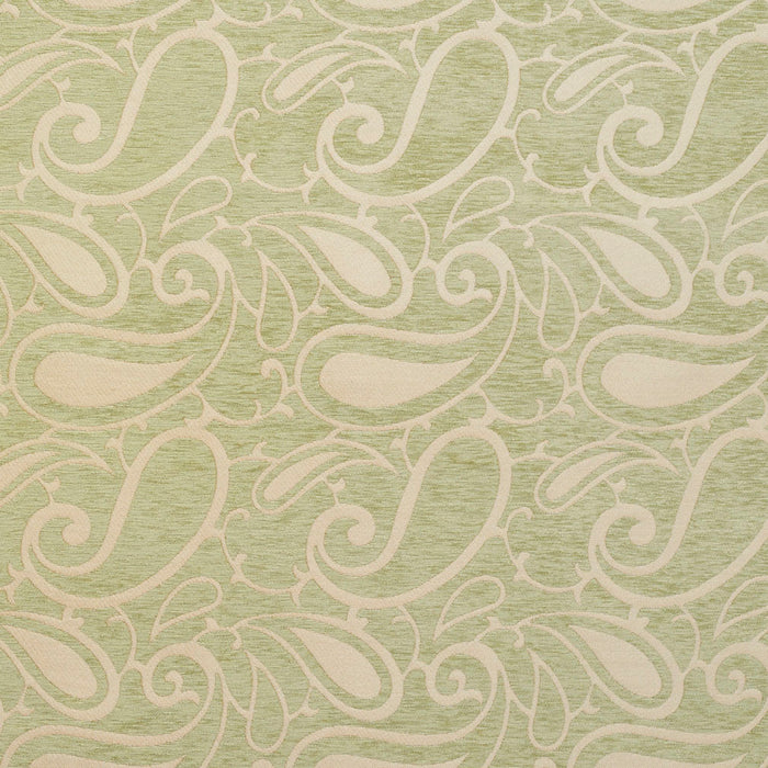 Charlotte Fabric 20800-06