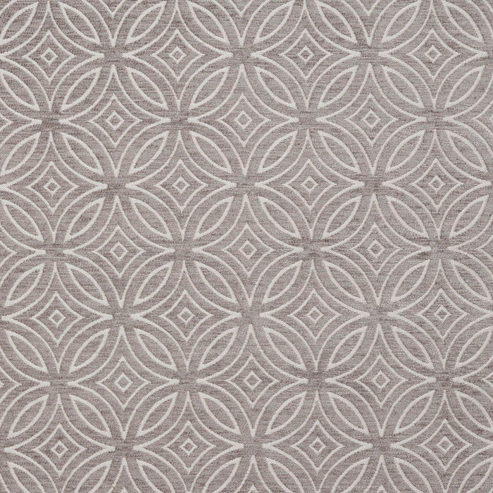 Charlotte Fabric 20810-01