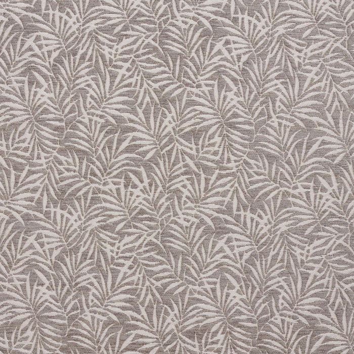 Charlotte Fabric 20820-01