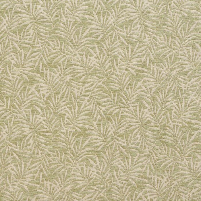Charlotte Fabric 20820-06