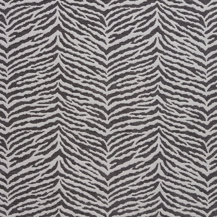 Charlotte Fabric 20870-05
