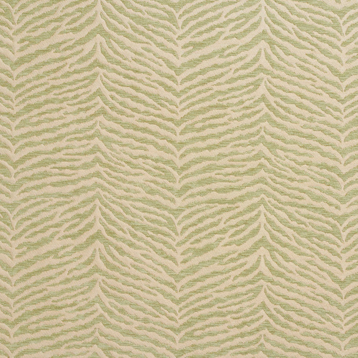 Charlotte Fabric 20870-06