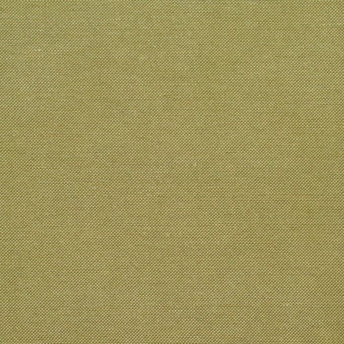 Charlotte Fabric 20900-03