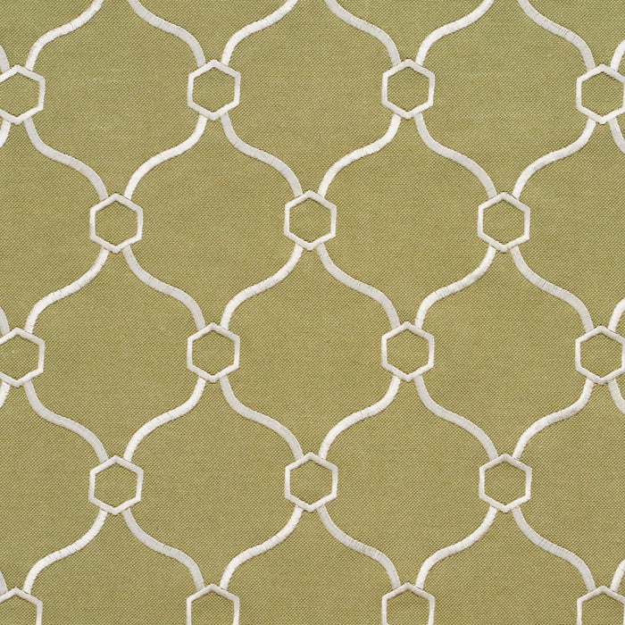 Charlotte Fabric 20910-01