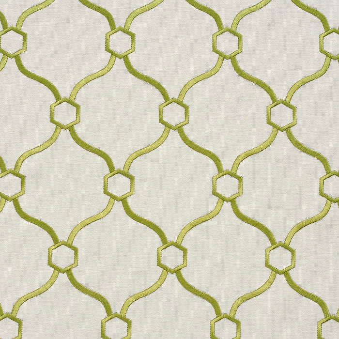 Charlotte Fabric 20910-10