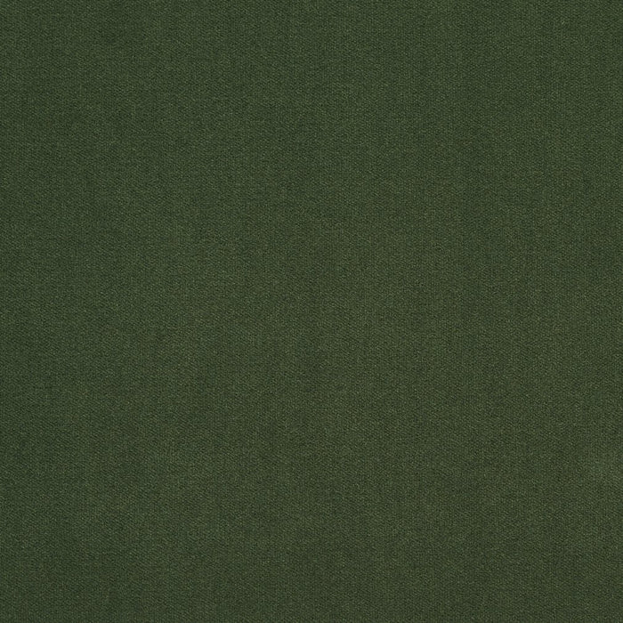 Charlotte Fabric Sample 20940-25