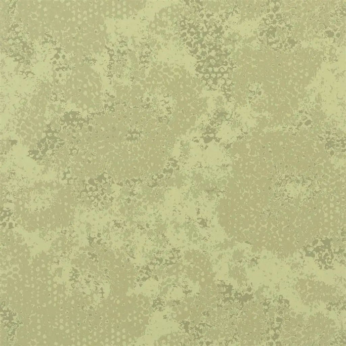 Designers Guild Udyana 7 Wallpaper PDG643-07