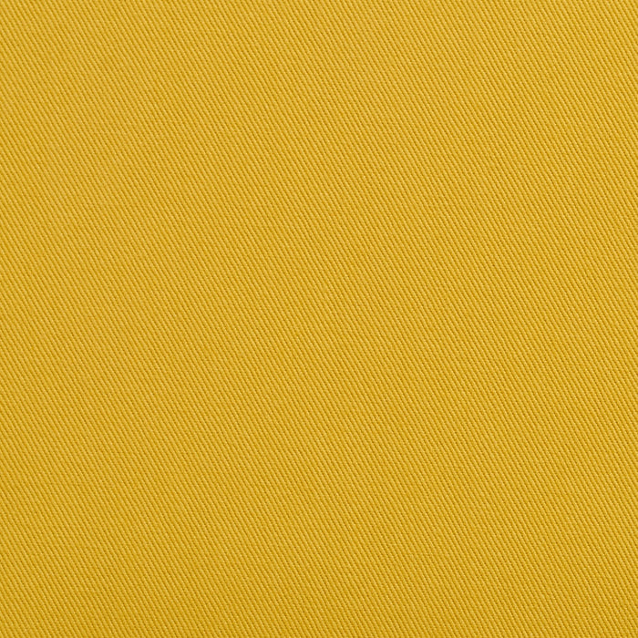 Charlotte Lemon Fabric Sample 2269