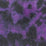 Designers Guild Corcione 1 Fabric F2097-01