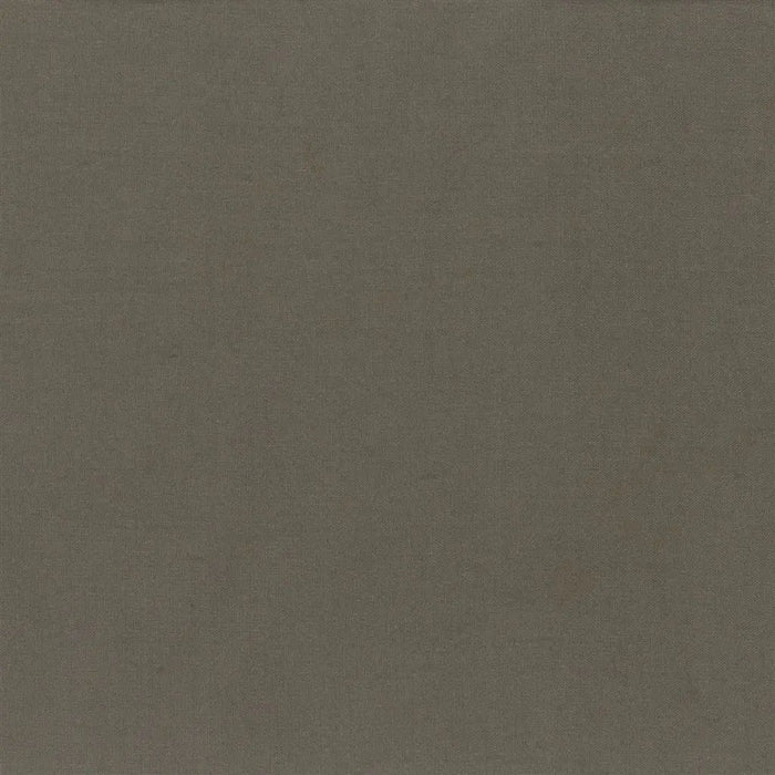 Designers Guild Luccicante 9 Fabric FDG2196-09