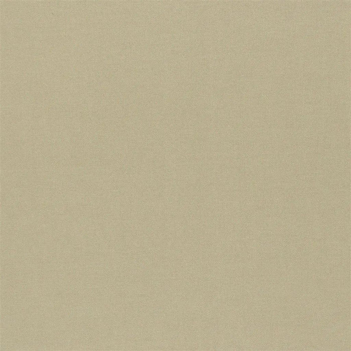 Designers Guild Luccicante 6 Fabric FDG2196-06