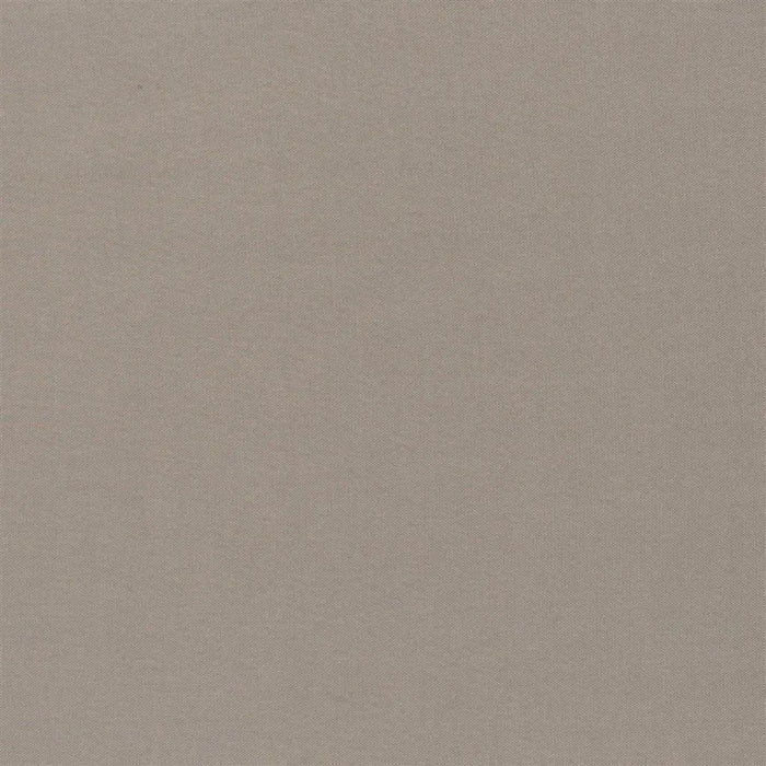 Designers Guild Luccicante 10 Fabric FDG2196-10