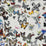 Christian Lacroix Butterfly Parade 1 Fabric FCL025-01