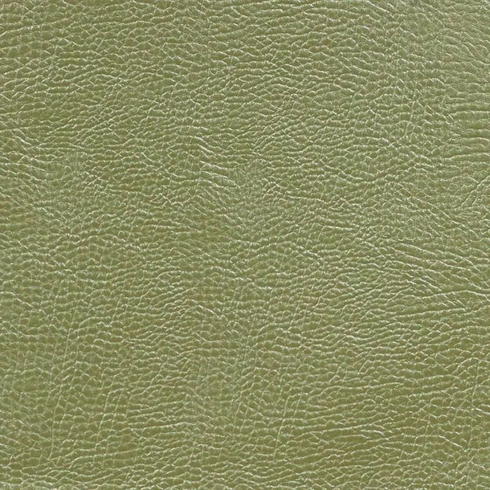 Designers Guild Mojave 20 Fabric FDG2167-20