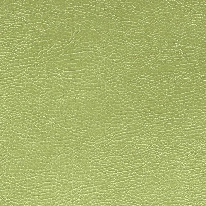 Designers Guild Mojave 21 Fabric FDG2167-21