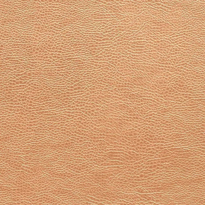 Designers Guild Atacama 5 Fabric FDG2168-05