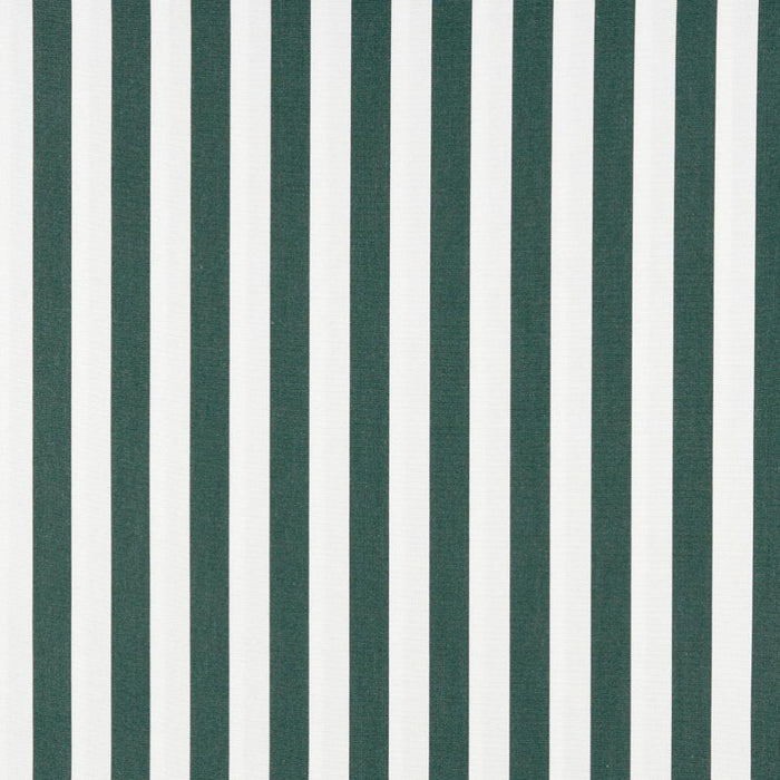 Charlotte Forest Canopy Fabric Sample 2488