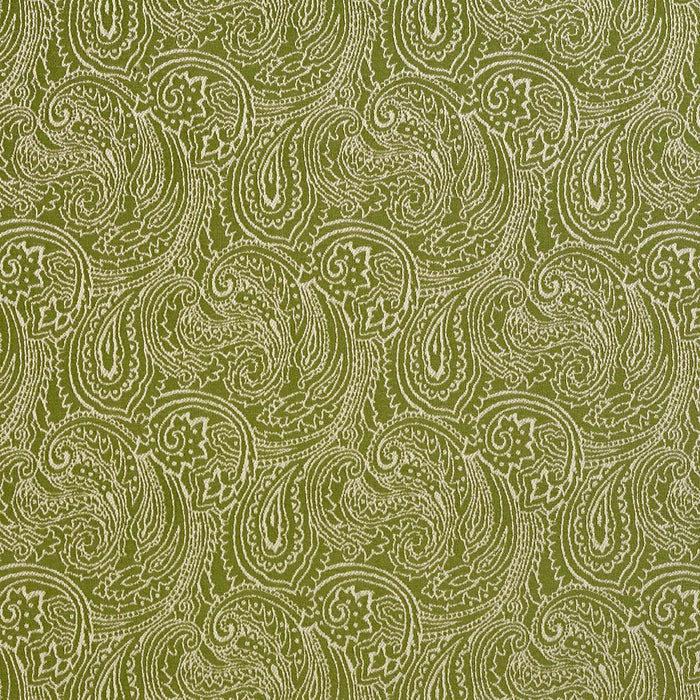 Charlotte Fern/paisley Fabric Sample 2631