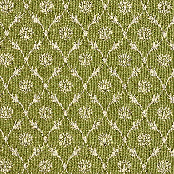 Charlotte Fern/trellis Fabric 2640