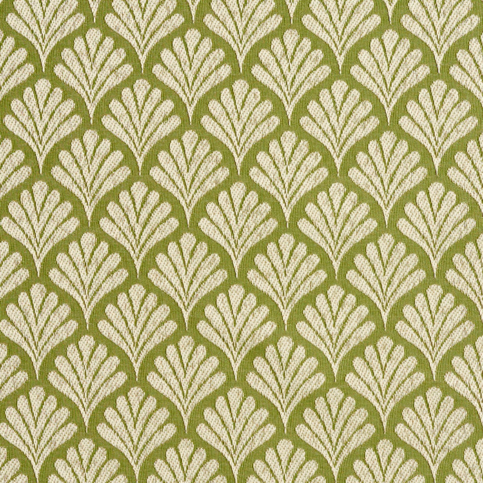 Charlotte Fern/fan Fabric Sample 2658