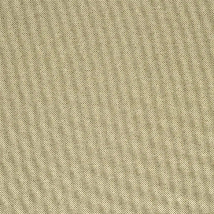 Designers Guild Lismore 12 Fabric FT1976-12