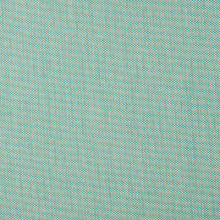 Charlotte Fabric Sample 30010-04