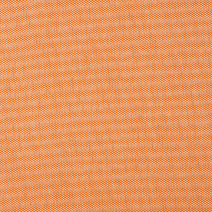Charlotte Fabric Sample 30010-06