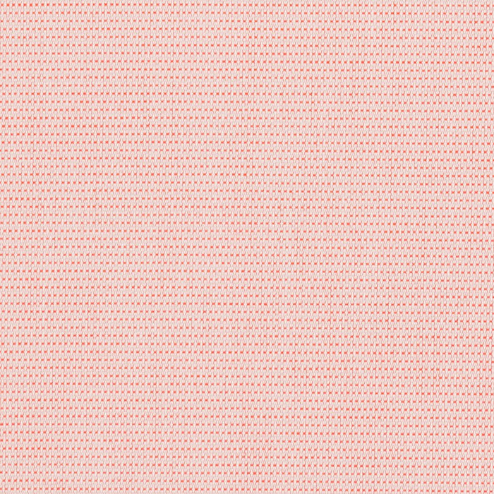 Charlotte Fabric Sample 30070-07
