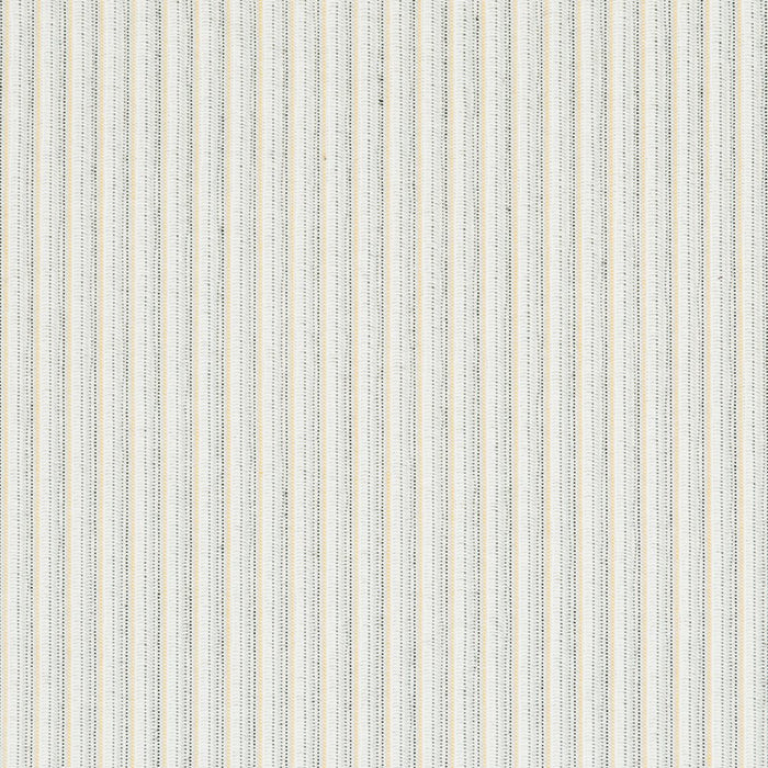 Charlotte Fabric 30090-04