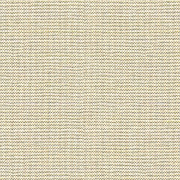 Kravet Basics 30299 1116 Fabric 30299.1116.0