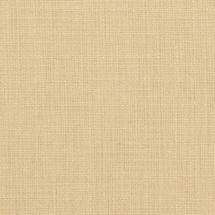 Charlotte  Fabric Sample 31000-03