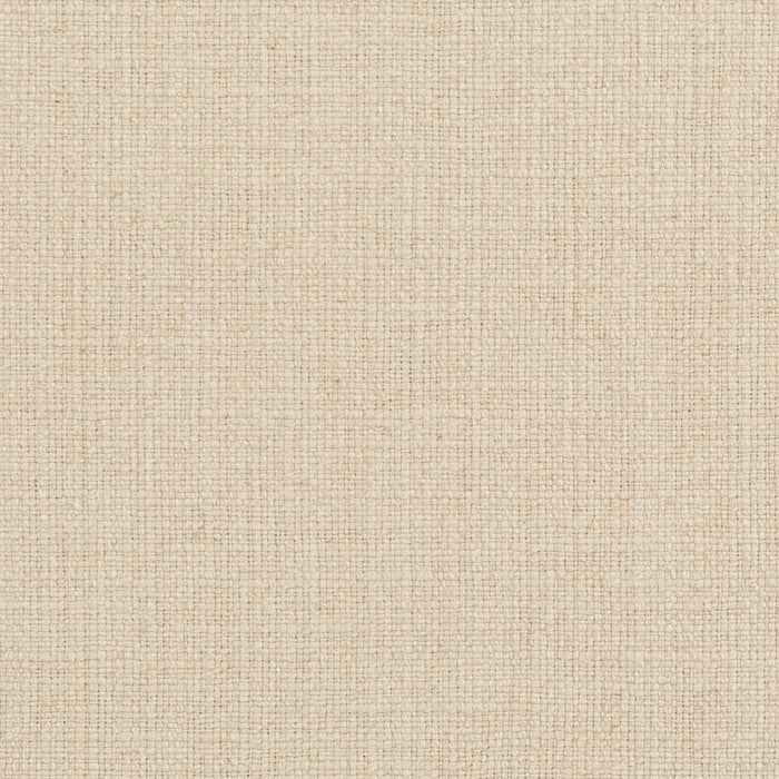 Charlotte  Fabric Sample 31000-08