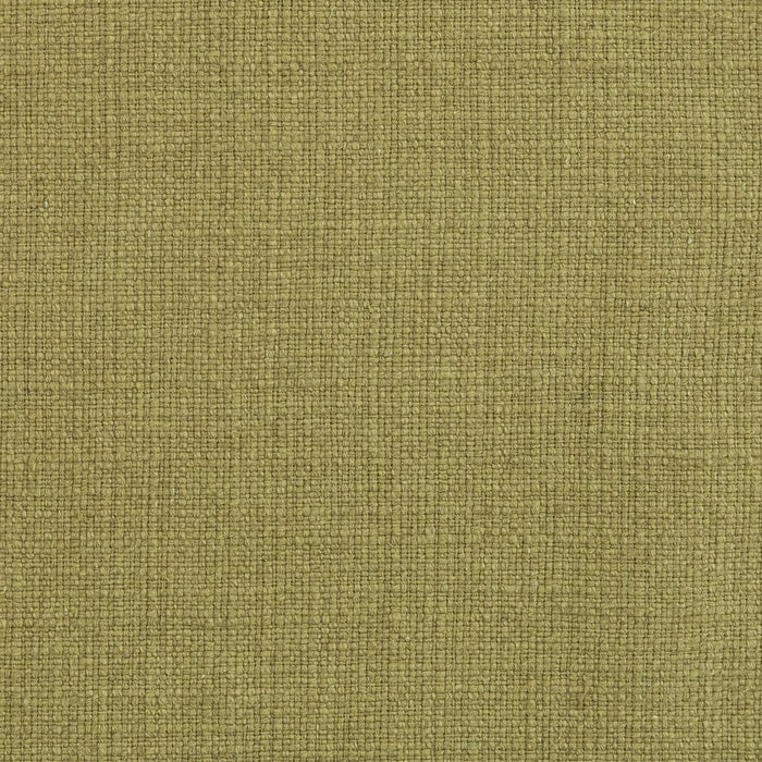 Charlotte Fabric 31000-19