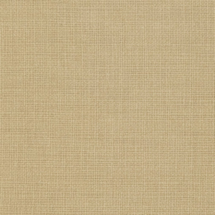 Charlotte Fabric 31000-20