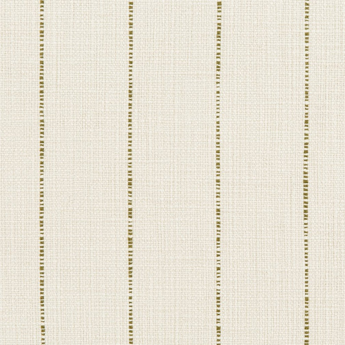 Charlotte Fabric 31010-01