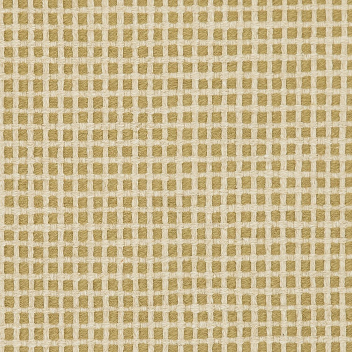 Charlotte Fabric 31020-05